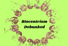 Biocentrism